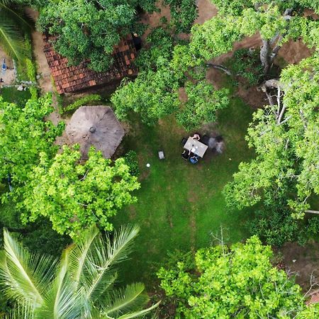 Eco Village Kalundewa Dambulla Eksteriør bilde