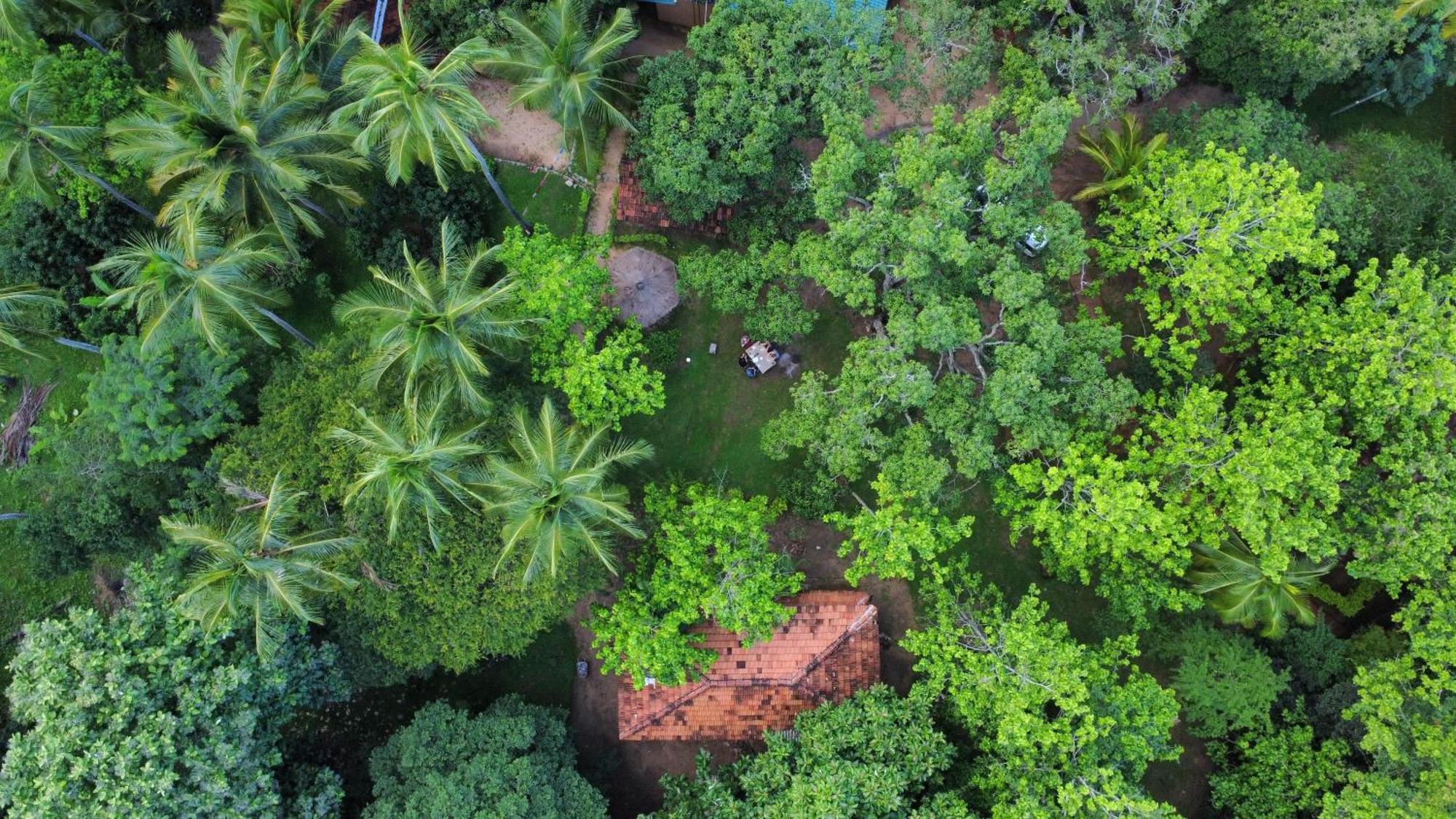 Eco Village Kalundewa Dambulla Eksteriør bilde