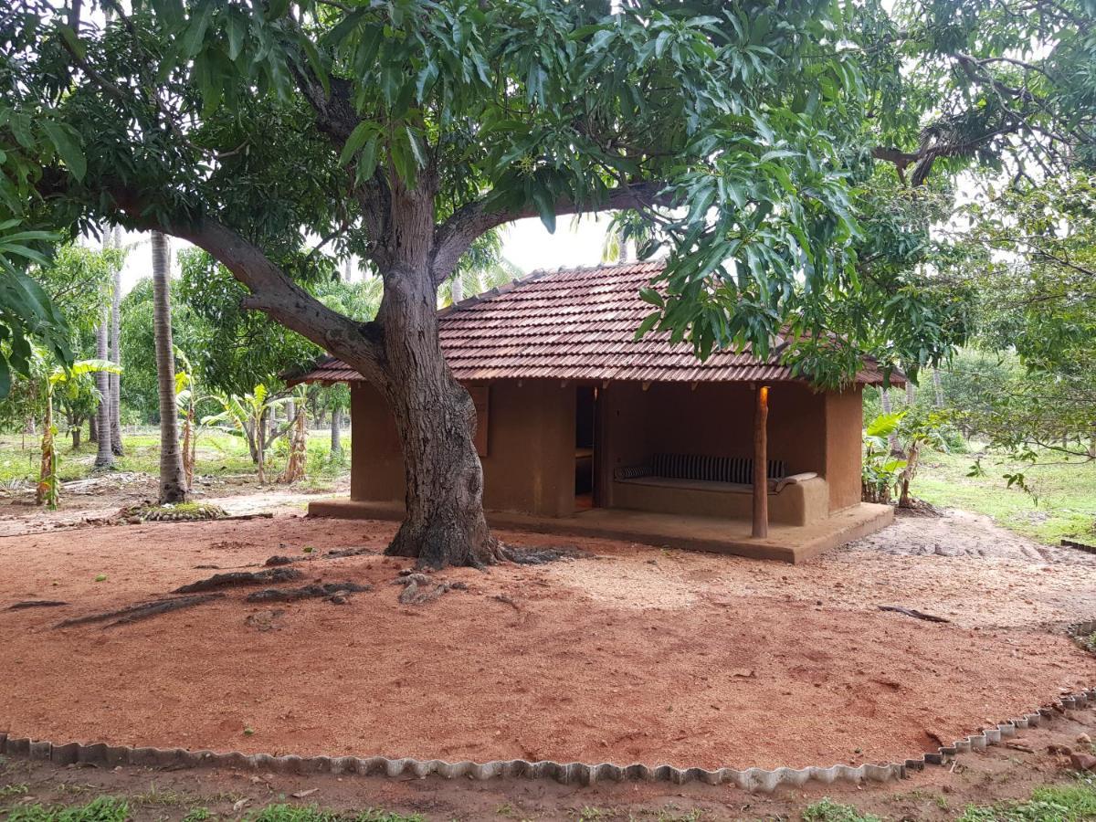 Eco Village Kalundewa Dambulla Eksteriør bilde