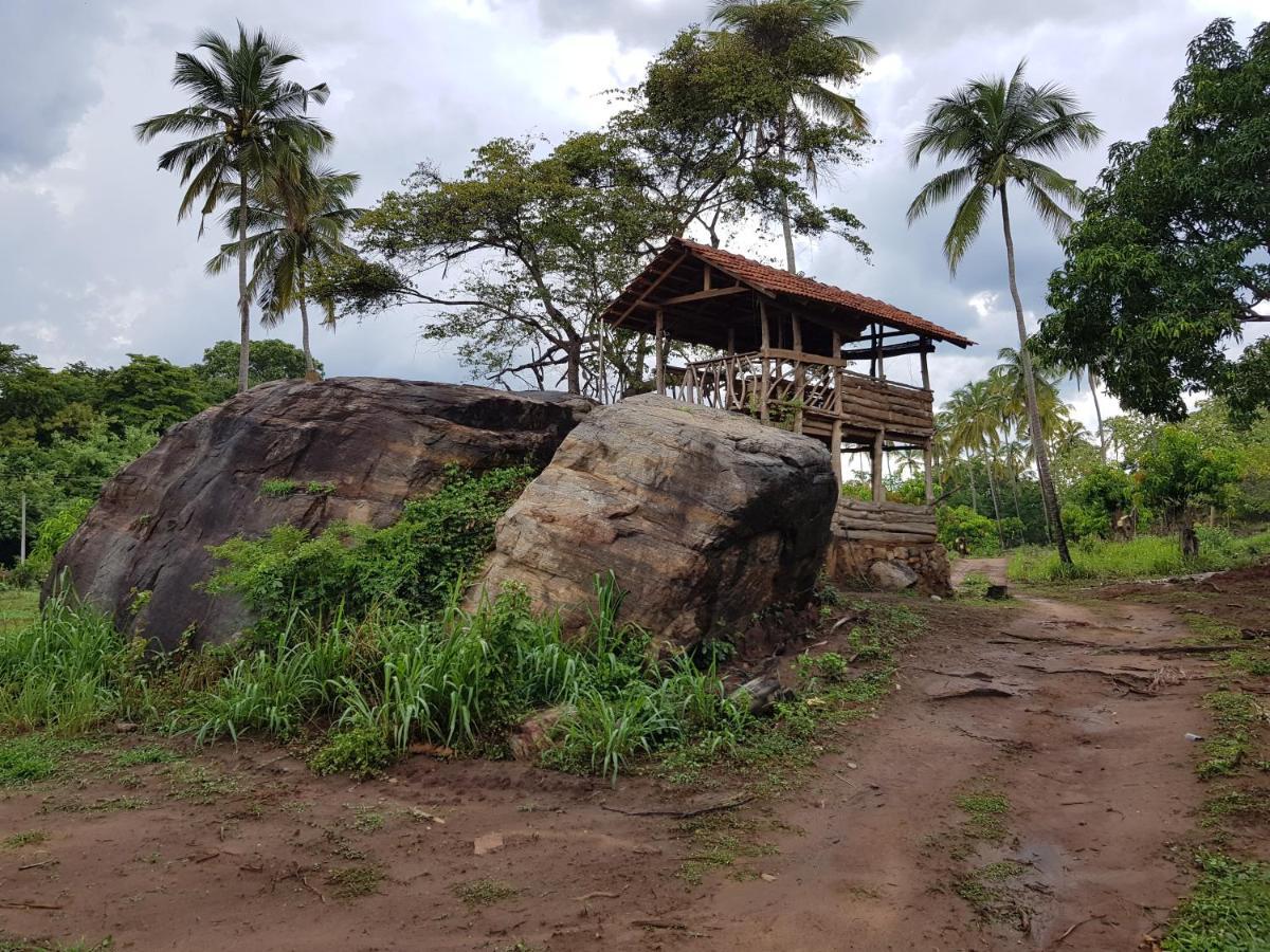 Eco Village Kalundewa Dambulla Eksteriør bilde