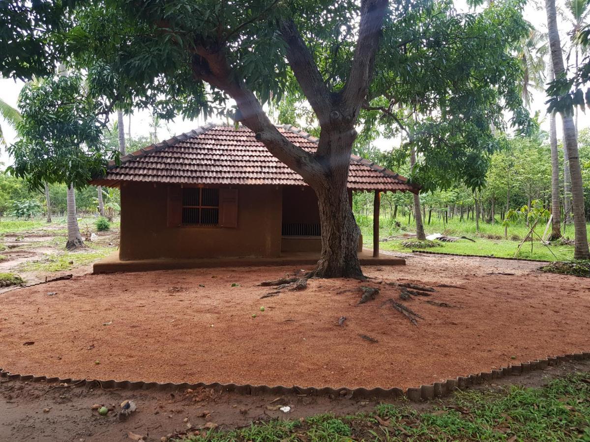 Eco Village Kalundewa Dambulla Eksteriør bilde