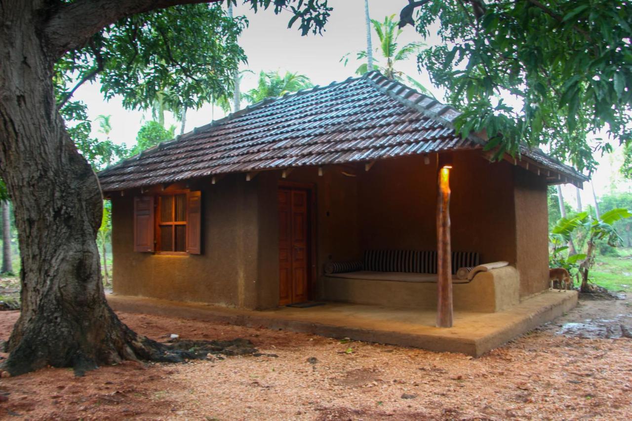 Eco Village Kalundewa Dambulla Eksteriør bilde